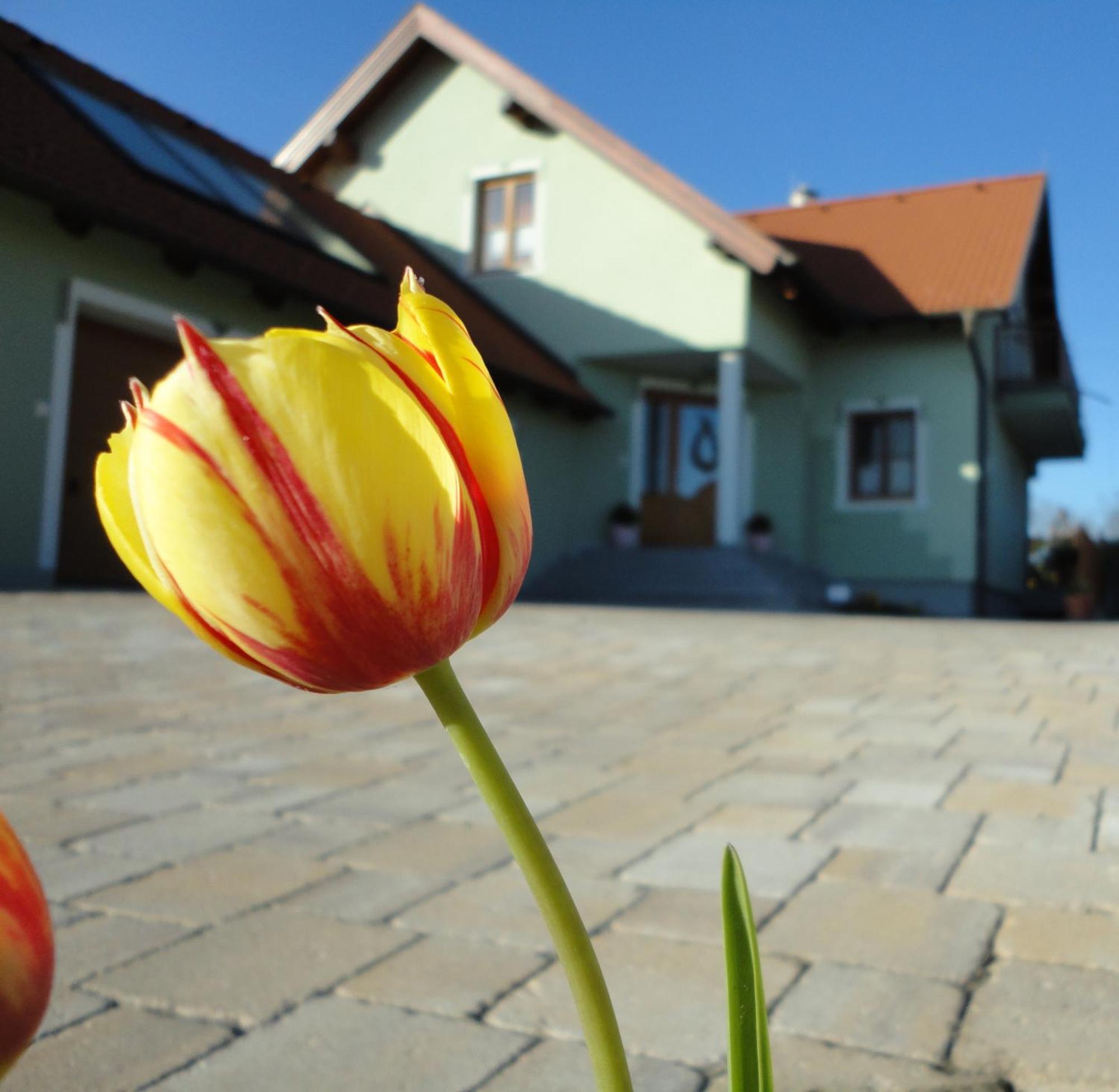 Gaestezimmer Rieder Staatz Luaran gambar